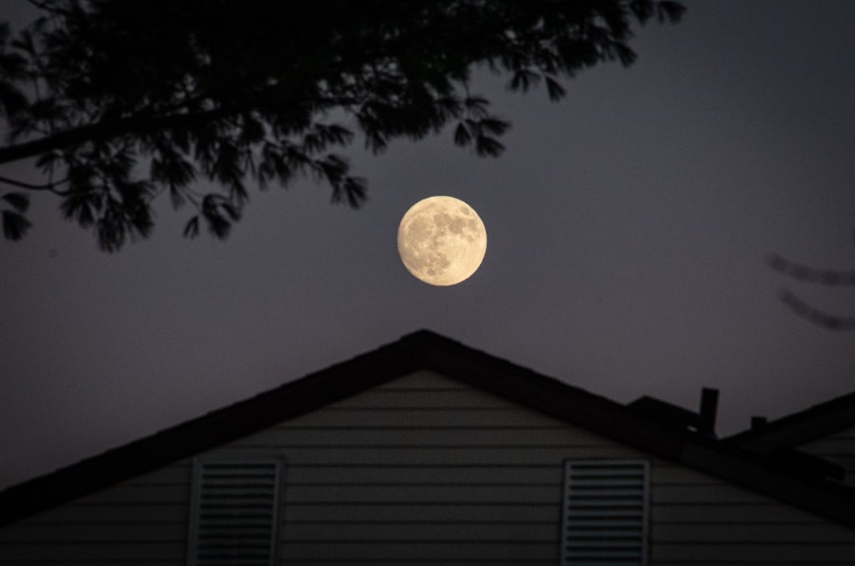 Vollmond-Rösten: Wenn Bohnen nachts bessere Entscheidungen treffen